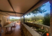 House with land for sale on España, Alcanar, ref: TR295761 photo