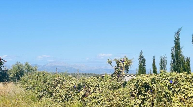 Balearic Islands - Sineu - 791m2