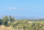 Land suitable for development for sale on España, Sineu, ref: TR130007 photo