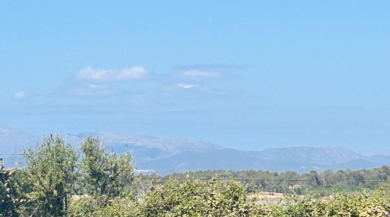 Balearic Islands - Sineu - 791m2