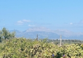Land suitable for development for sale on España, Sineu, ref: TR130007 photo