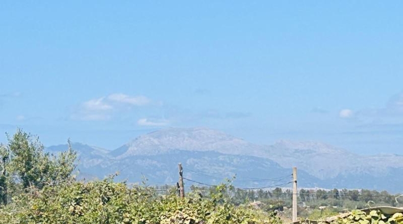 Balearic Islands - Sineu - 791m2