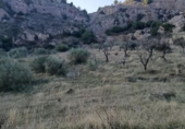 Земля на продажу у города Álora Фото