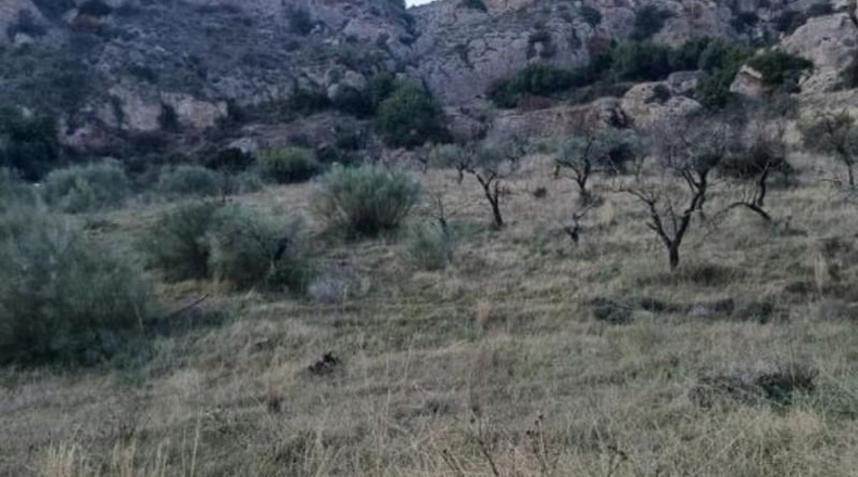 Málaga - Álora - 143502m2