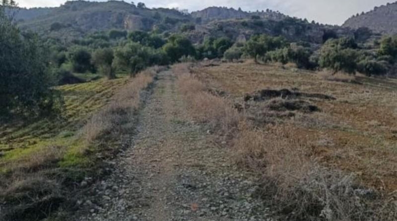 Málaga - Álora - 143502m2