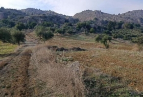 Álora 143502&nbsp;m² 