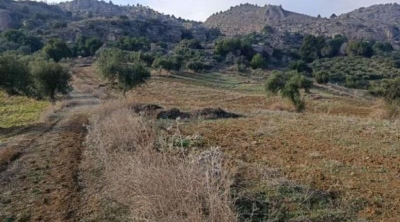 Málaga - Álora - 143502m2