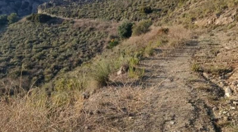 Málaga - Álora - 143502m2