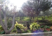 Xalet independent amb terreny en venda a la España, Moraleda de Zafayona, ref.: TR288864 foto