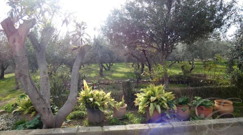Granada - Moraleda de Zafayona - 2500m2