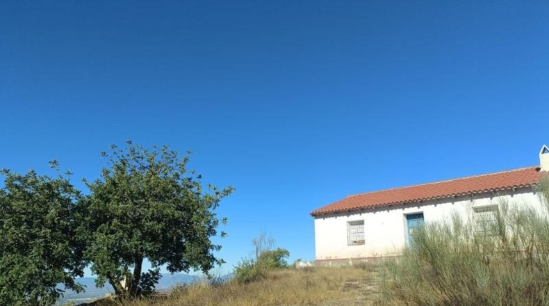 Málaga - Málaga - 90000m2