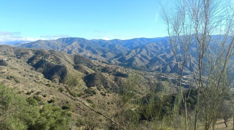 Málaga - Málaga - 90000m2