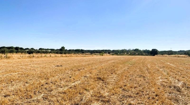 Sevilla - Villamanrique de la Condesa - 58188m2