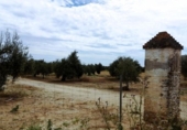 Non-developable land for sale on España, Villamanrique de la Condesa, ref: TR131147 photo