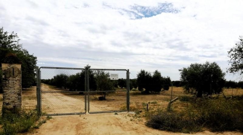 Sevilla - Villamanrique de la Condesa - 58188m2