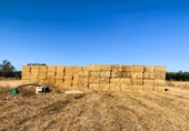 Non-developable land for sale on España, Villamanrique de la Condesa, ref: TR131147 photo