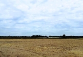 Non-developable land for sale on España, Villamanrique de la Condesa, ref: TR131147 photo