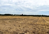 Non-developable land for sale on España, Villamanrique de la Condesa, ref: TR131147 photo