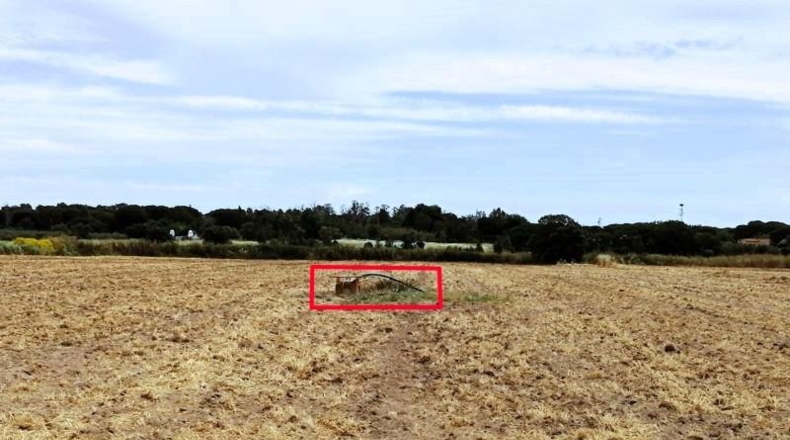 Sevilla - Villamanrique de la Condesa - 58188m2
