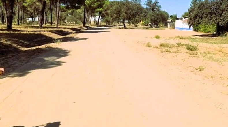 Sevilla - Villamanrique de la Condesa - 58188m2