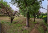 Parcela urbanizable en venta en la España, Lérida, ref: TR176060 foto