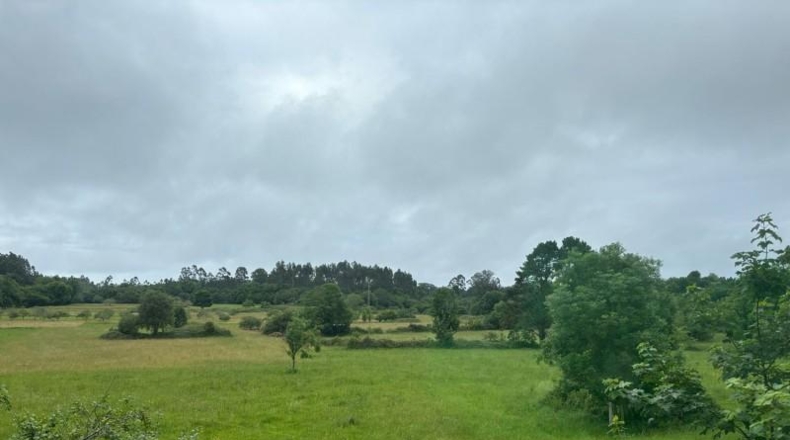 Asturias - Ribadesella - 331m2
