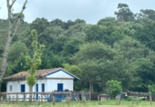 Casa de camp amb terreny en venda a la España, Ribadesella, ref.: TR169556 foto