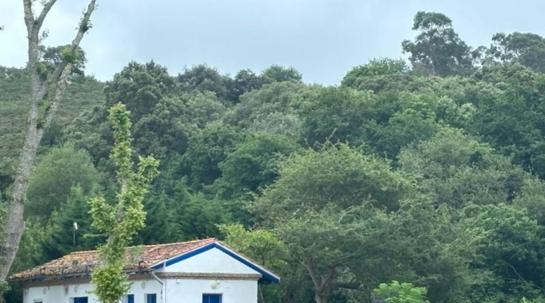 Asturias - Ribadesella - 331m2
