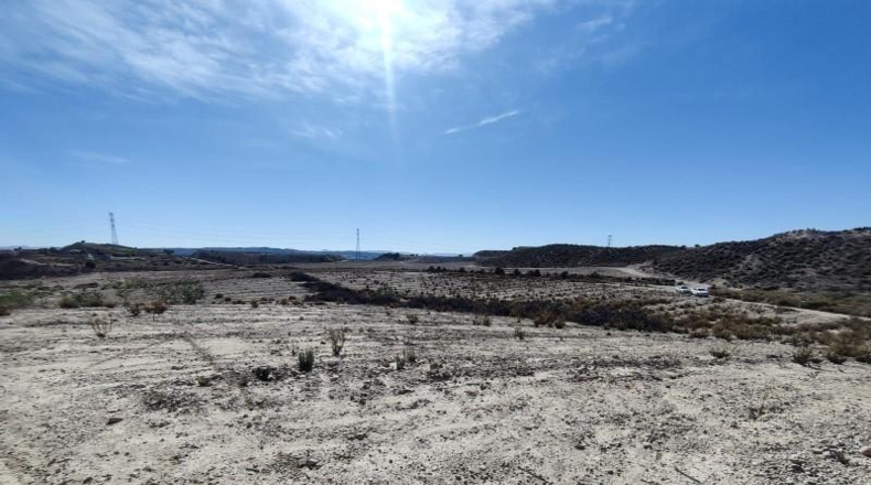 Murcia - Molina de Segura - 80000m2