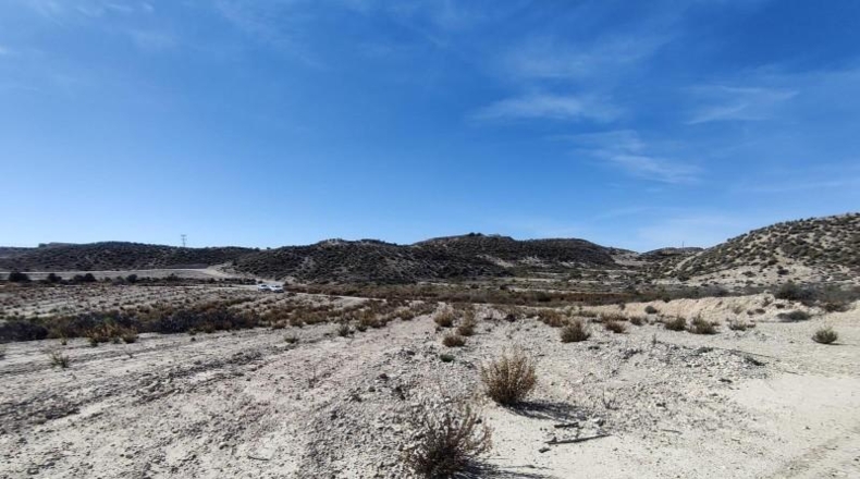 Murcia - Molina de Segura - 80000m2