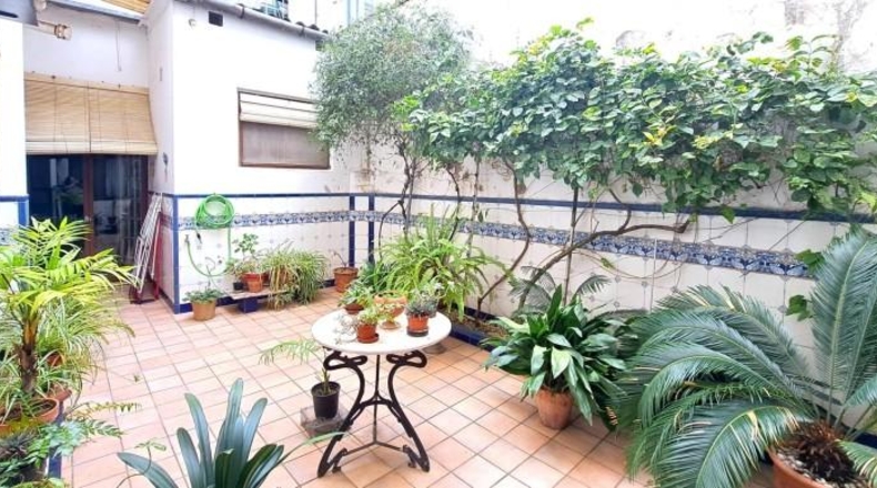 Valencia - Carcagente - 224m2