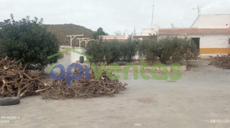 Murcia - Lorca - 200970m2