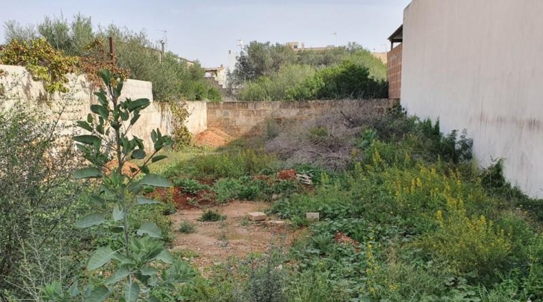 Islas Baleares - Las Salinas - 260m2
