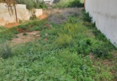 Urban land for sale on España, Ses Salines, ref: TR176415 photo