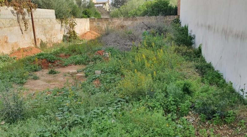 Islas Baleares - Las Salinas - 260m2