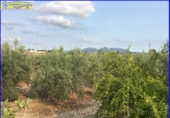 Chalet independiente con terreno en venta en la España, Fortuna, ref: TR145521 foto