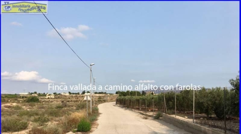 Murcia - Fortuna - 1637m2