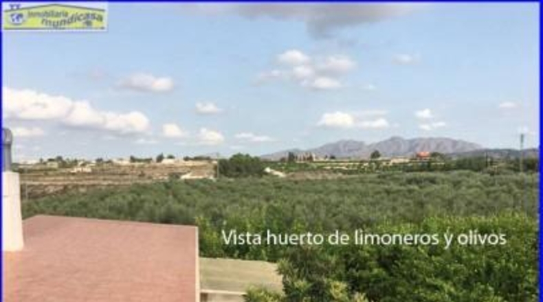 Murcia - Fortuna - 1637m2