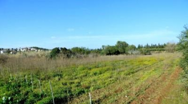 Barcelona - Vilanova i la Geltrú - 192m2