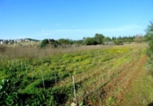Casa con terreno en venta en la España, Vilanova i la Geltrú, ref: TR146119 foto