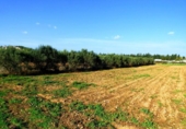 Casa con terreno en venta en la España, Vilanova i la Geltrú, ref: TR146119 foto