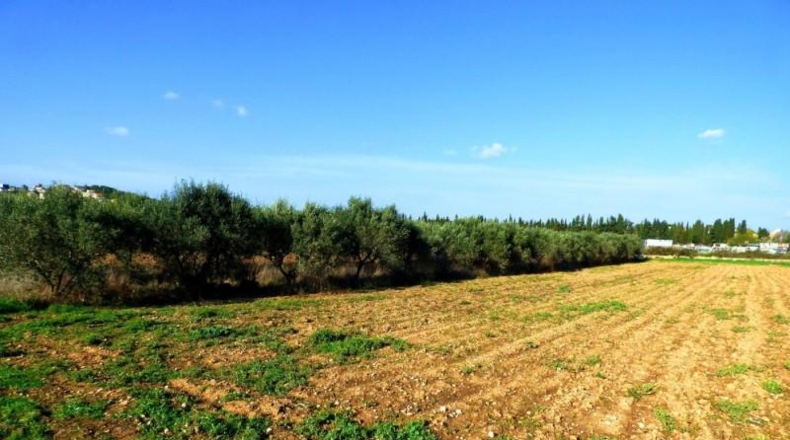 Barcelona - Vilanova i la Geltrú - 192m2