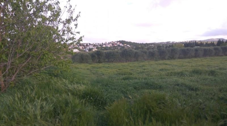 Barcelona - Vilanova i la Geltrú - 192m2