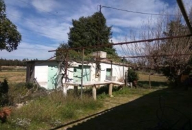 Foto 19