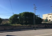 Non-developable land for sale on España, Porreras, ref: TR116041 photo