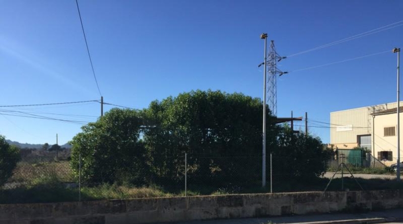 Balearic Islands - Porreras - 2220m2