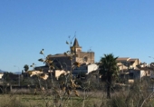 Non-developable land for sale on España, Porreras, ref: TR116041 photo