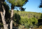 Parcela urbanizable en venta en la España, Benissa, ref: TR112660 foto