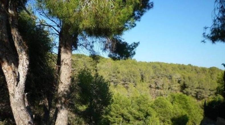 Alicante - Benisa - 1000m2
