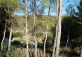 Parcela urbanizable en venta en la España, Benissa, ref: TR112660 foto